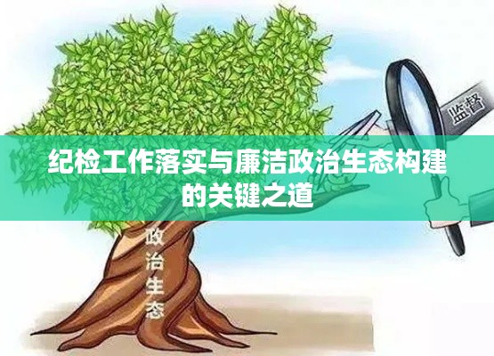 纪检工作落实与廉洁政治生态构建的关键之道