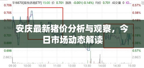 玉树临风