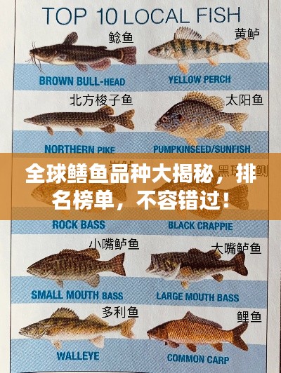 全球鳝鱼品种大揭秘，排名榜单，不容错过！