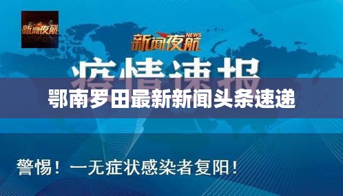 鄂南罗田最新新闻头条速递
