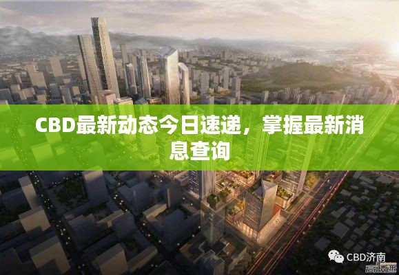 联系我们 第12页