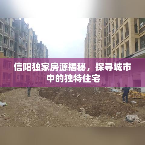 信阳独家房源揭秘，探寻城市中的独特住宅