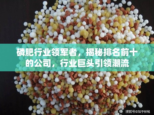磷肥行业领军者，揭秘排名前十的公司，行业巨头引领潮流