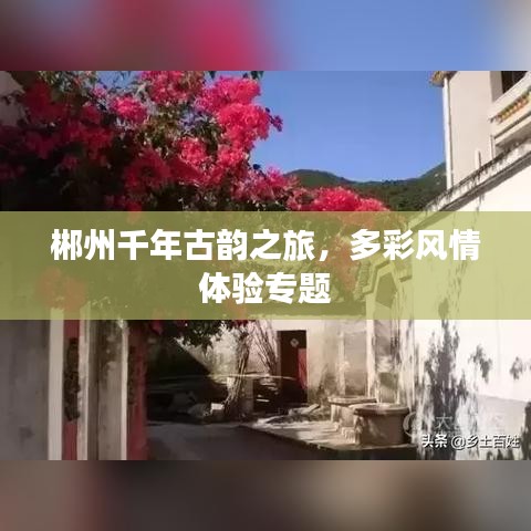 郴州千年古韵之旅，多彩风情体验专题