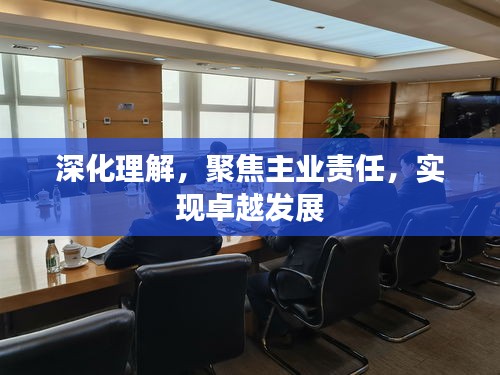 深化理解，聚焦主业责任，实现卓越发展