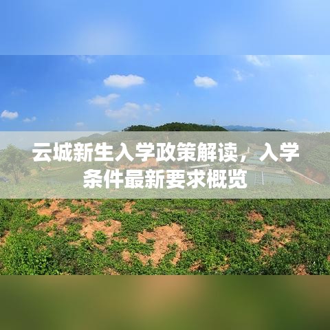 云城新生入学政策解读，入学条件最新要求概览