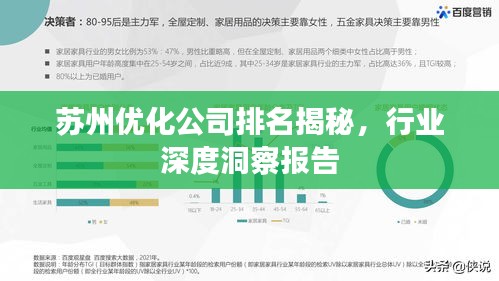 苏州优化公司排名揭秘，行业深度洞察报告