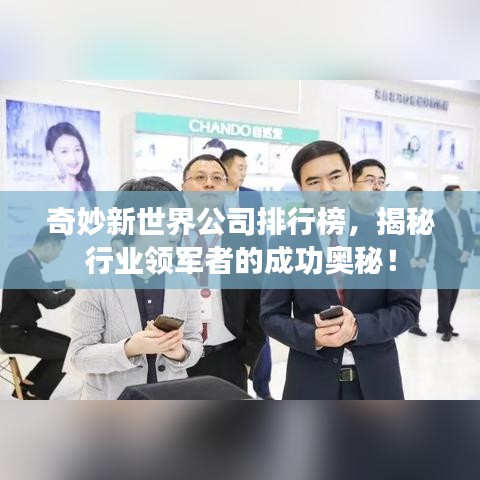 奇妙新世界公司排行榜，揭秘行业领军者的成功奥秘！