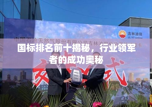 国标排名前十揭秘，行业领军者的成功奥秘