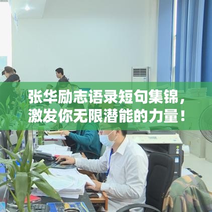 新闻资讯 第10页