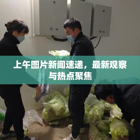 上午图片新闻速递，最新观察与热点聚焦