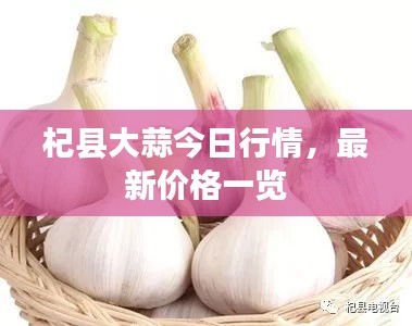 杞县大蒜今日行情，最新价格一览