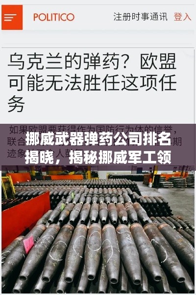 挪威武器弹药公司排名揭晓，揭秘挪威军工领域的佼佼者