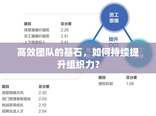 高效团队的基石，如何持续提升组织力？