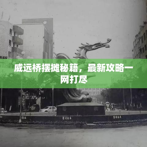 威远桥摆摊秘籍，最新攻略一网打尽