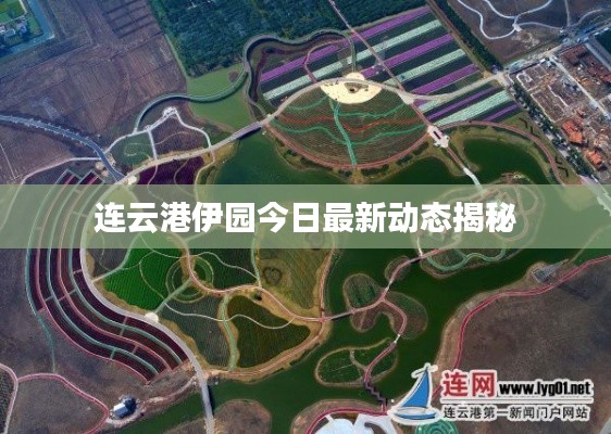 连云港伊园今日最新动态揭秘
