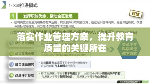 落实作业管理方案，提升教育质量的关键所在
