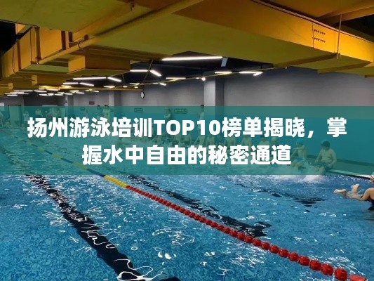 扬州游泳培训TOP10榜单揭晓，掌握水中自由的秘密通道