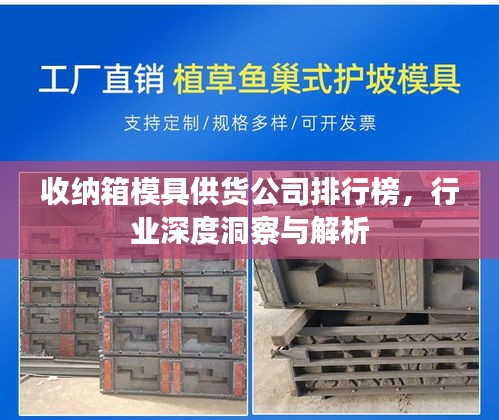 收纳箱模具供货公司排行榜，行业深度洞察与解析