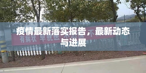 疫情最新落实报告，最新动态与进展
