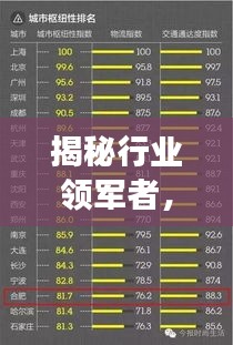 揭秘行业领军者，老牌装潢公司排名榜单重磅出炉！