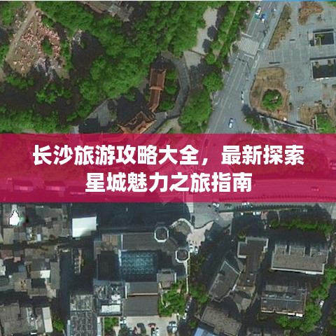 一本正经