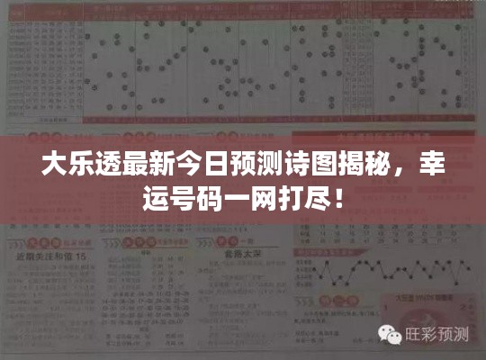 大乐透最新今日预测诗图揭秘，幸运号码一网打尽！