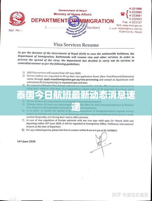 泰国今日航班最新动态消息速递