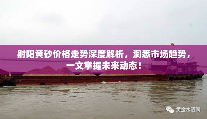 射阳黄砂价格走势深度解析，洞悉市场趋势，一文掌握未来动态！