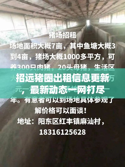 招远猪圈出租信息更新，最新动态一网打尽
