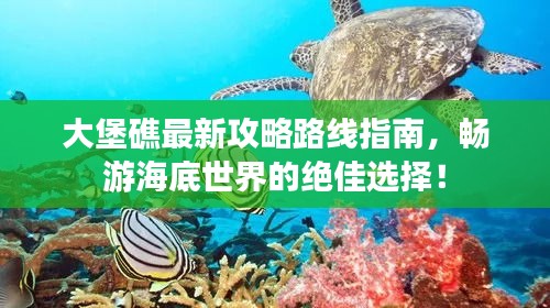 大堡礁最新攻略路线指南，畅游海底世界的绝佳选择！