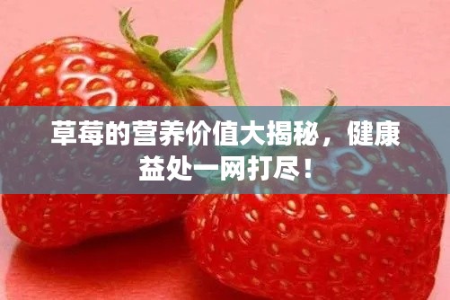 草莓的营养价值大揭秘，健康益处一网打尽！