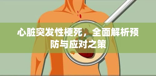 心脏突发性梗死，全面解析预防与应对之策