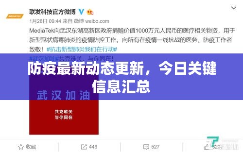 防疫最新动态更新，今日关键信息汇总