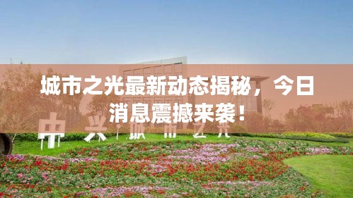 城市之光最新动态揭秘，今日消息震撼来袭！