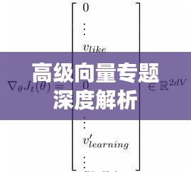高级向量专题深度解析
