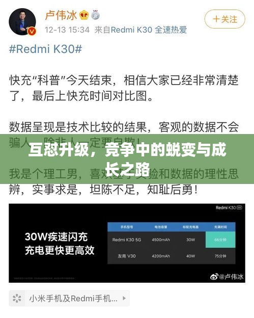 互怼升级，竞争中的蜕变与成长之路