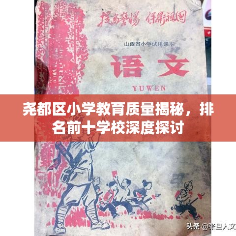 尧都区小学教育质量揭秘，排名前十学校深度探讨