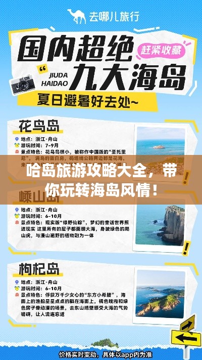 哈岛旅游攻略大全，带你玩转海岛风情！