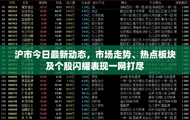 沪市今日最新动态，市场走势、热点板块及个股闪耀表现一网打尽