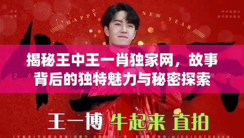 揭秘王中王一肖独家网，故事背后的独特魅力与秘密探索