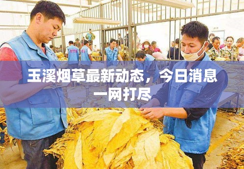 玉溪烟草最新动态，今日消息一网打尽