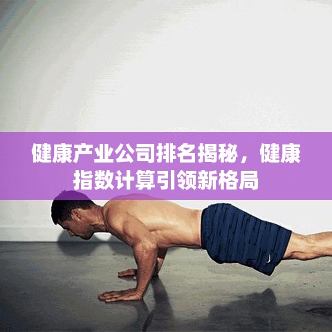 健康产业公司排名揭秘，健康指数计算引领新格局