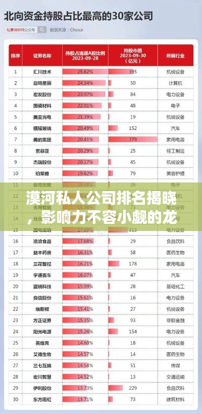 漠河私人公司排名揭晓，影响力不容小觑的龙头企业盘点