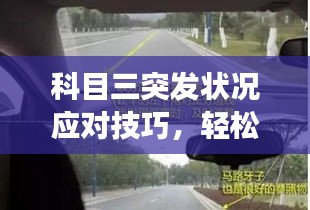 科目三突发状况应对技巧，轻松应对驾驶考试意外状况！