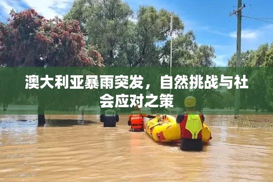 澳大利亚暴雨突发，自然挑战与社会应对之策