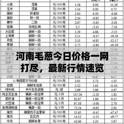 河南毛葱今日价格一网打尽，最新行情速览
