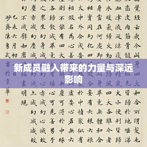 新成员融入带来的力量与深远影响