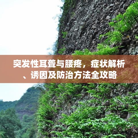 突发性耳聋与腰疼，症状解析、诱因及防治方法全攻略