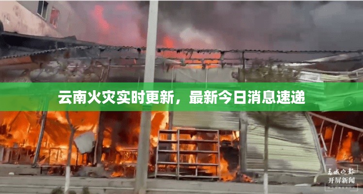 云南火灾实时更新，最新今日消息速递